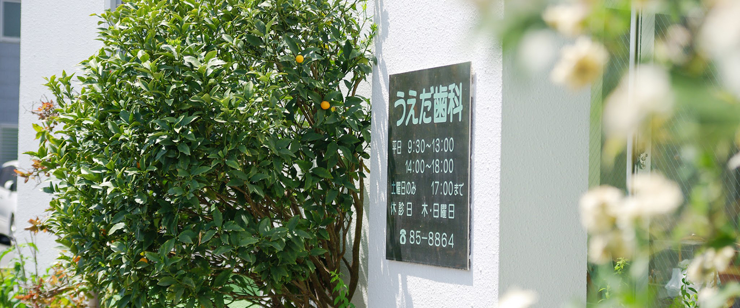 茅ヶ崎市今宿の歯科医院(歯医者) うえだ歯科エントランス